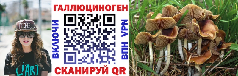 Галлюциногенные грибы Magic Shrooms  Уржум 